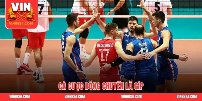 Cá cược bóng chuyền là gì?