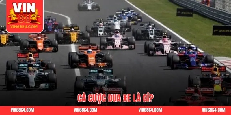 Cá cược đua xe là gì?